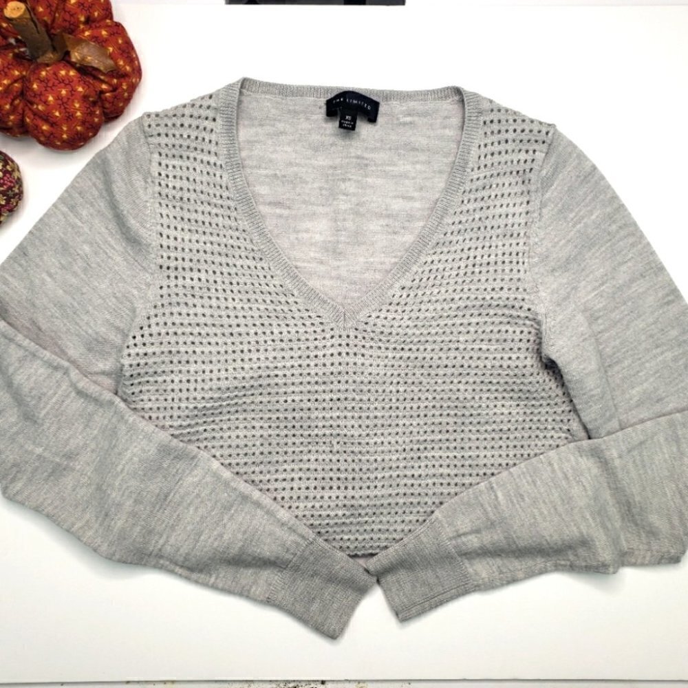 The Limited Mesh Sweater XSmall